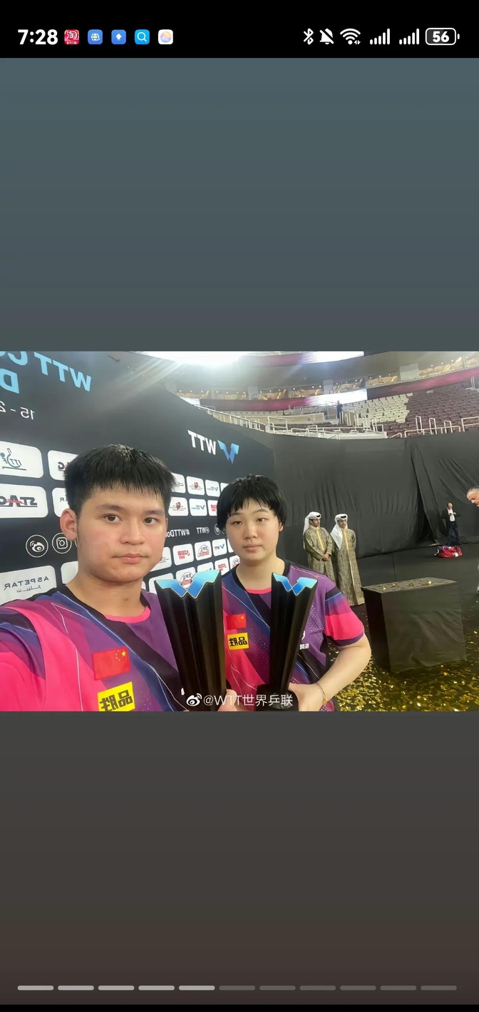 中国乒乓球队绝地反击波兰乒乓球队，水谷隼关键制胜的简单介绍