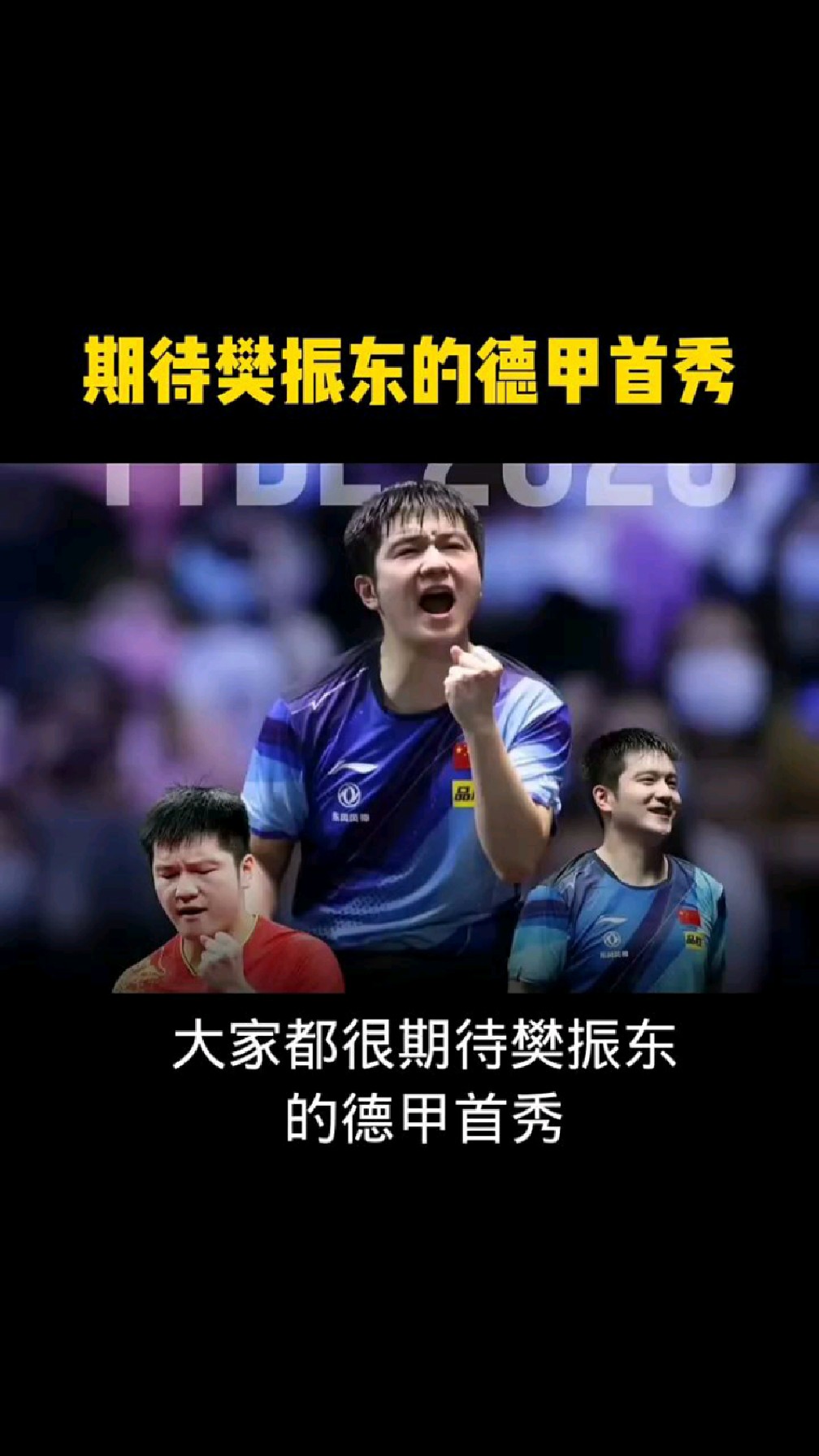 开云体育APP下载-德国乒乓球队逆转中国乒乓球队，樊振东打破历史纪录