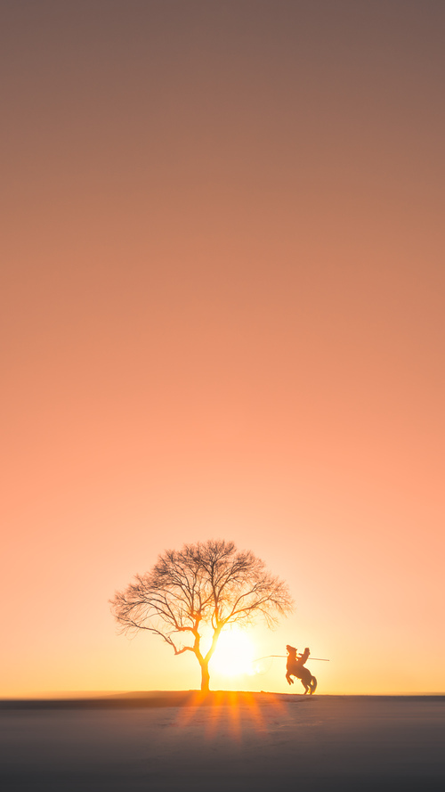 羽坛新纪元,印度队客场横扫印尼创历史,黄鸭组合缔造不可复制的辉煌