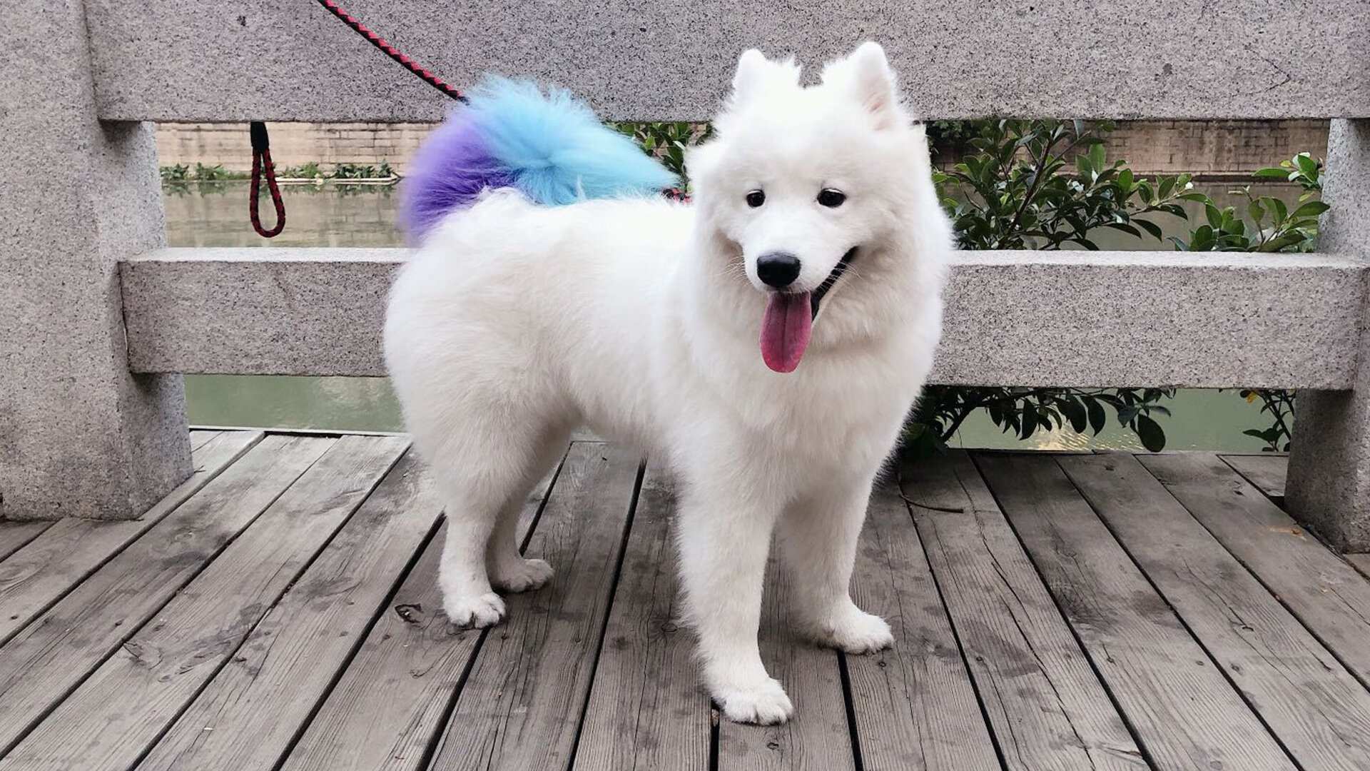 开云体育官网-换羽之战，当印尼的翅膀折断后，重新学会了逆风飞翔