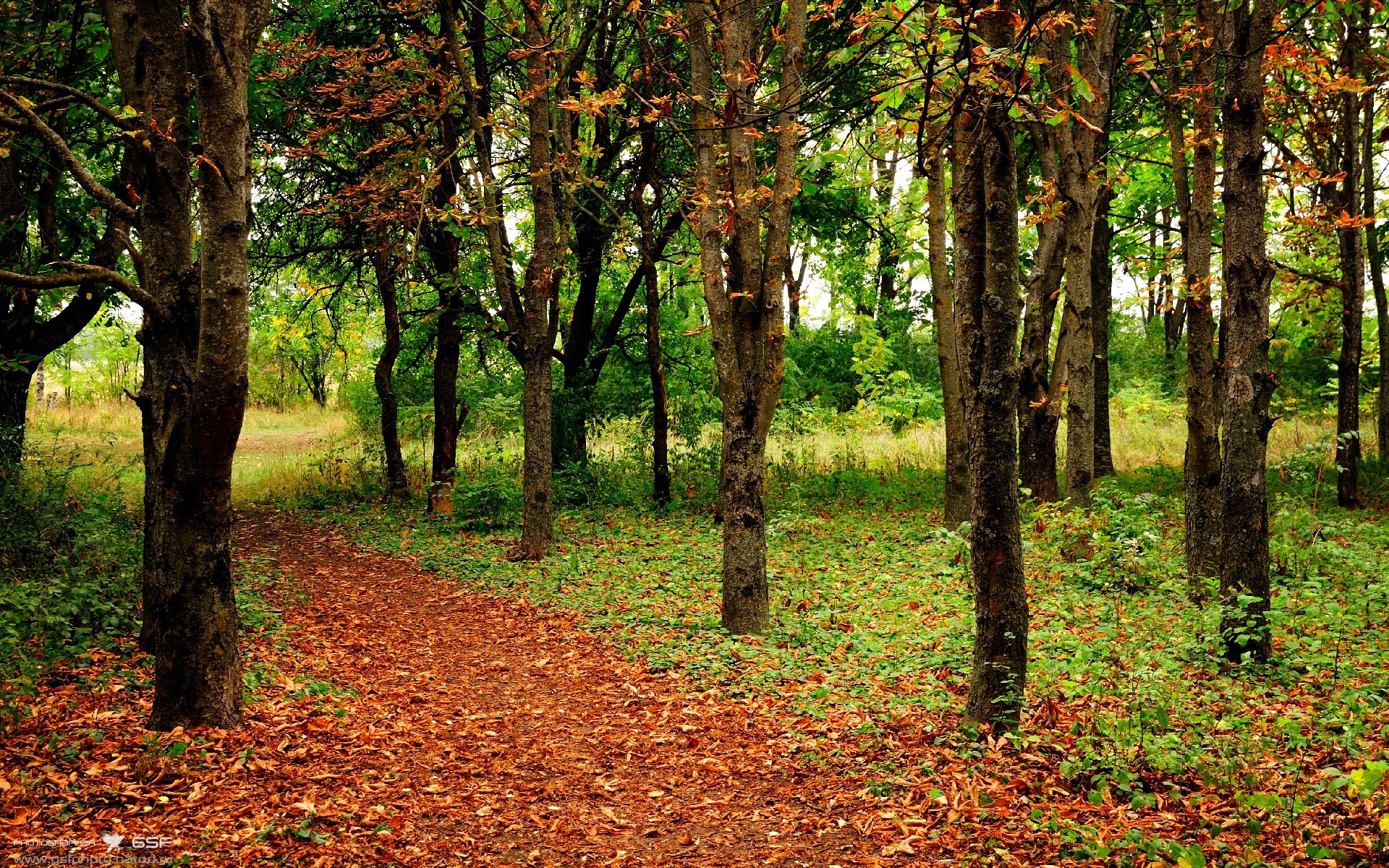 平行宇宙的篮球之夜，魔术逆转太阳，陶汉林统治内线