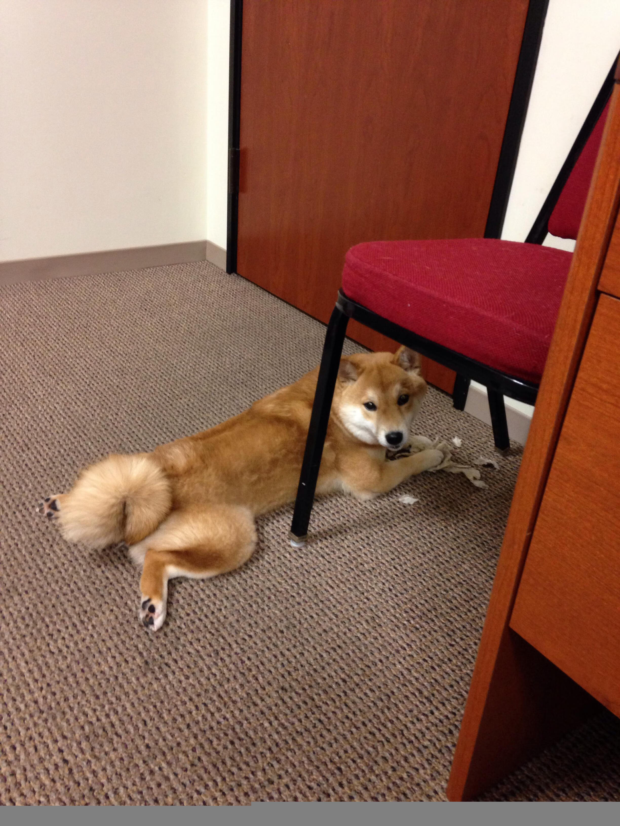 开云体育平台APP-速度之夜的双重奏，F1街道赛的轰鸣与布克的统治级数据