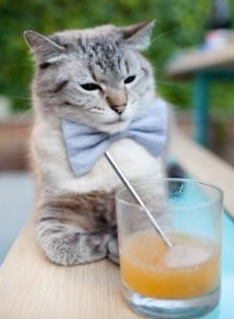 开云sport-冰与火之歌，独行侠的绝杀寒箭与武切维奇的硬仗烈焰