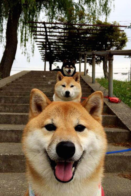 开云体育入口-一球成金，奥纳纳如何用唯一性的勇气，为波兰凿开胜利之门