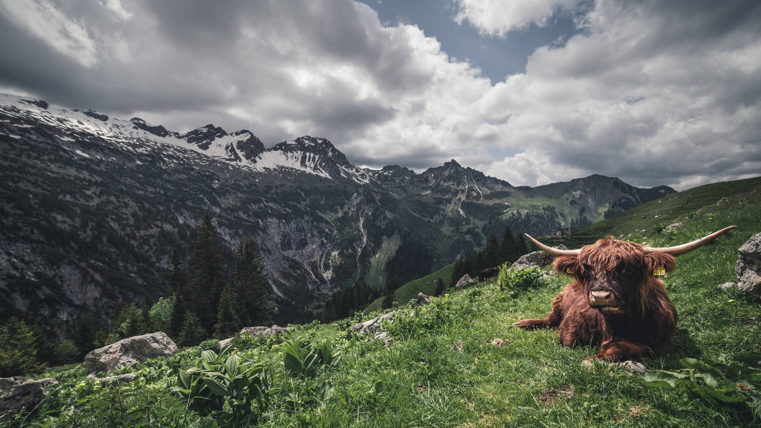 开云体育登录-蚀骨，欧冠淘汰赛之夜的唯一神迹