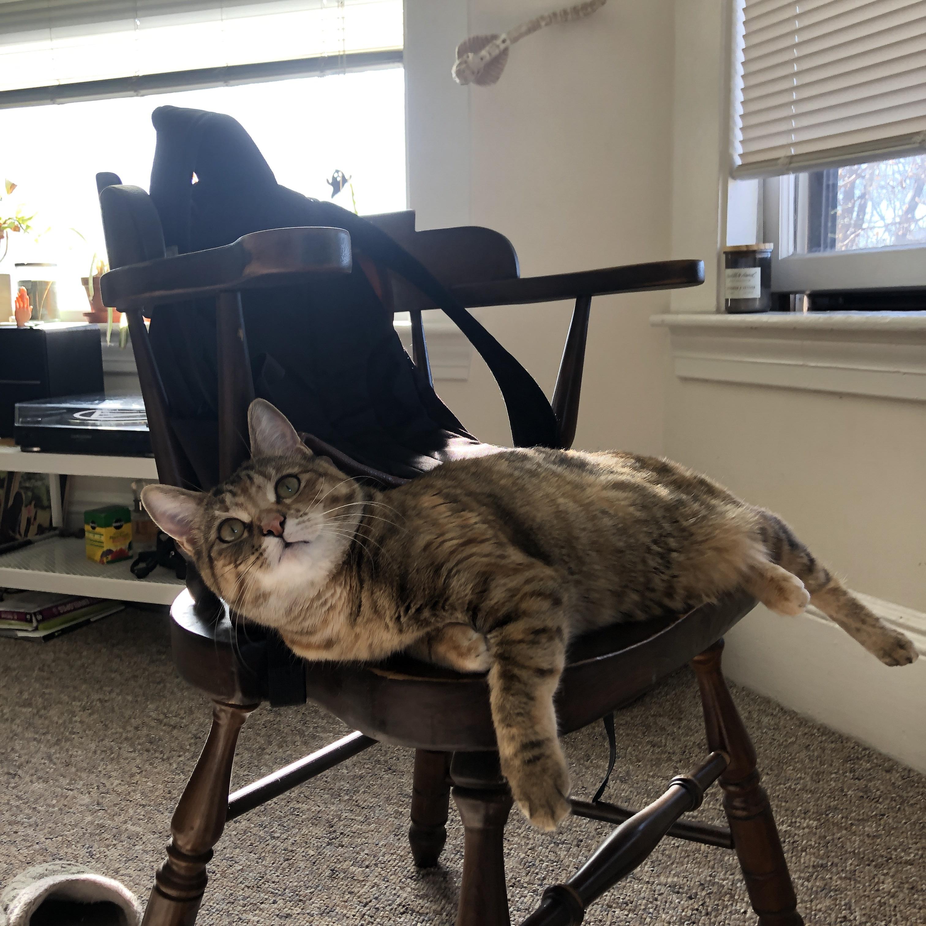 当南大王遇上红军，球风相克的宿命对决，努涅斯如何成为关键先生？