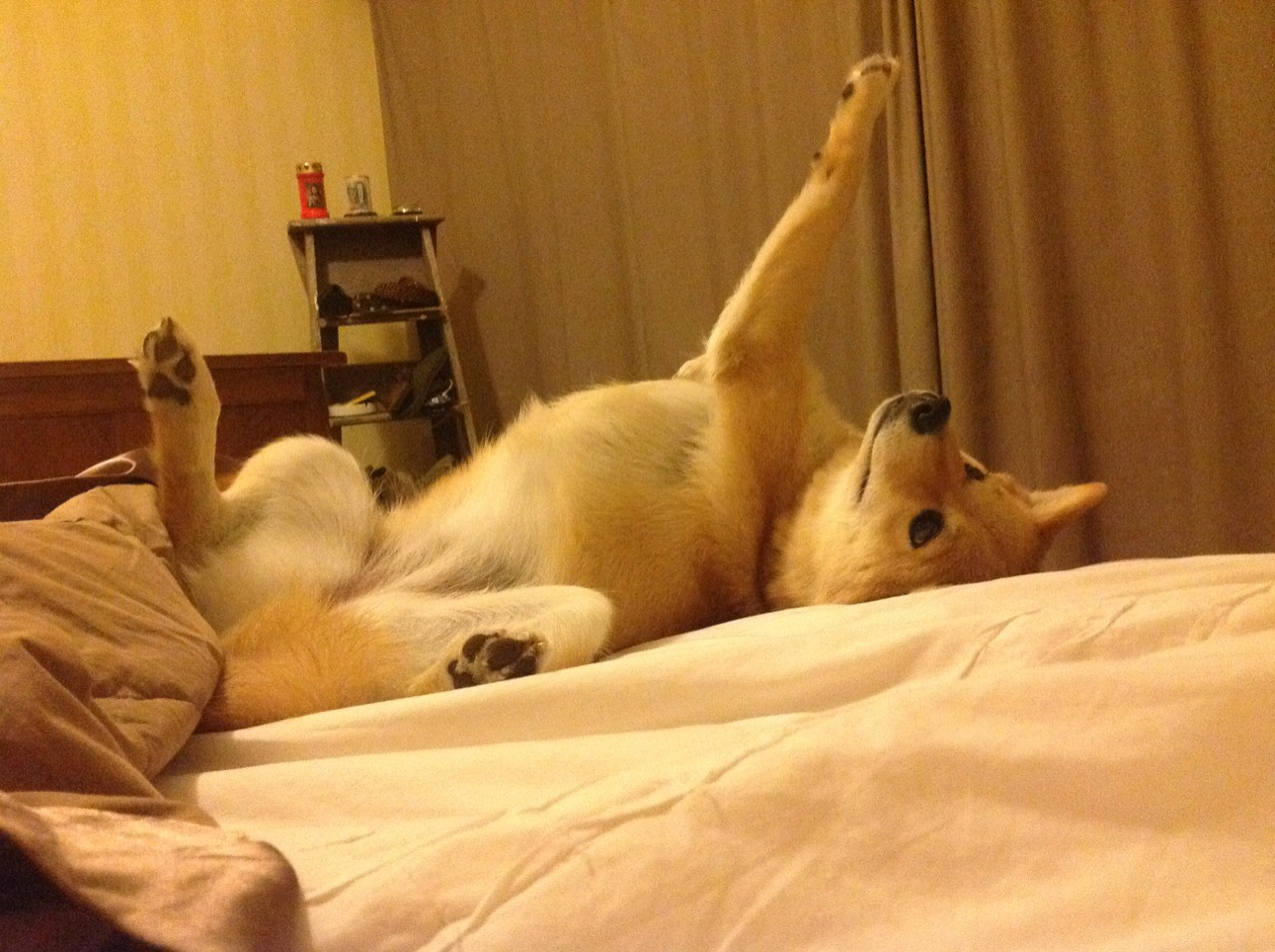 一个人的战争，当奥亚尔萨瓦尔用数据点燃赛场，澳大利亚如何被一人击溃？