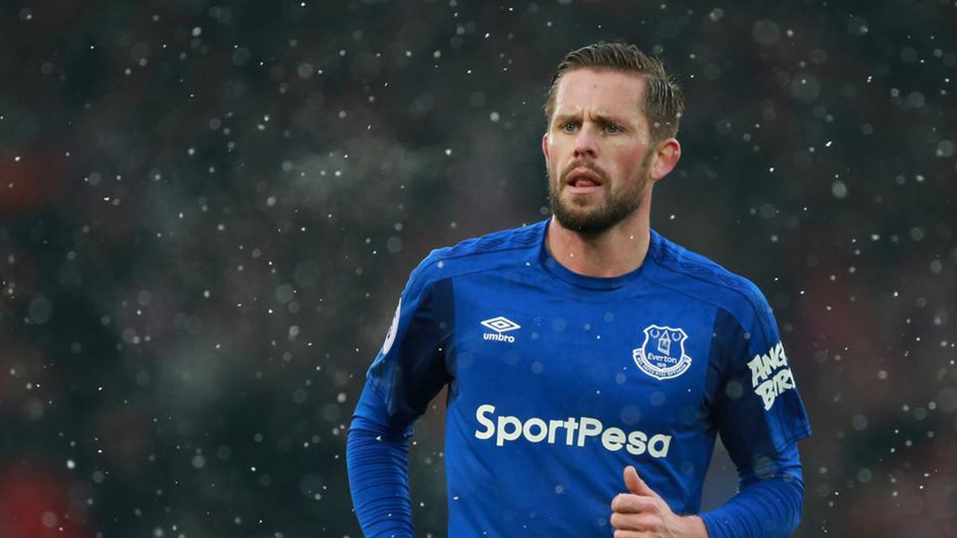 双城记，当狼群用纪律撕咬，浓眉用天赋接管—两种统治力的时代对话