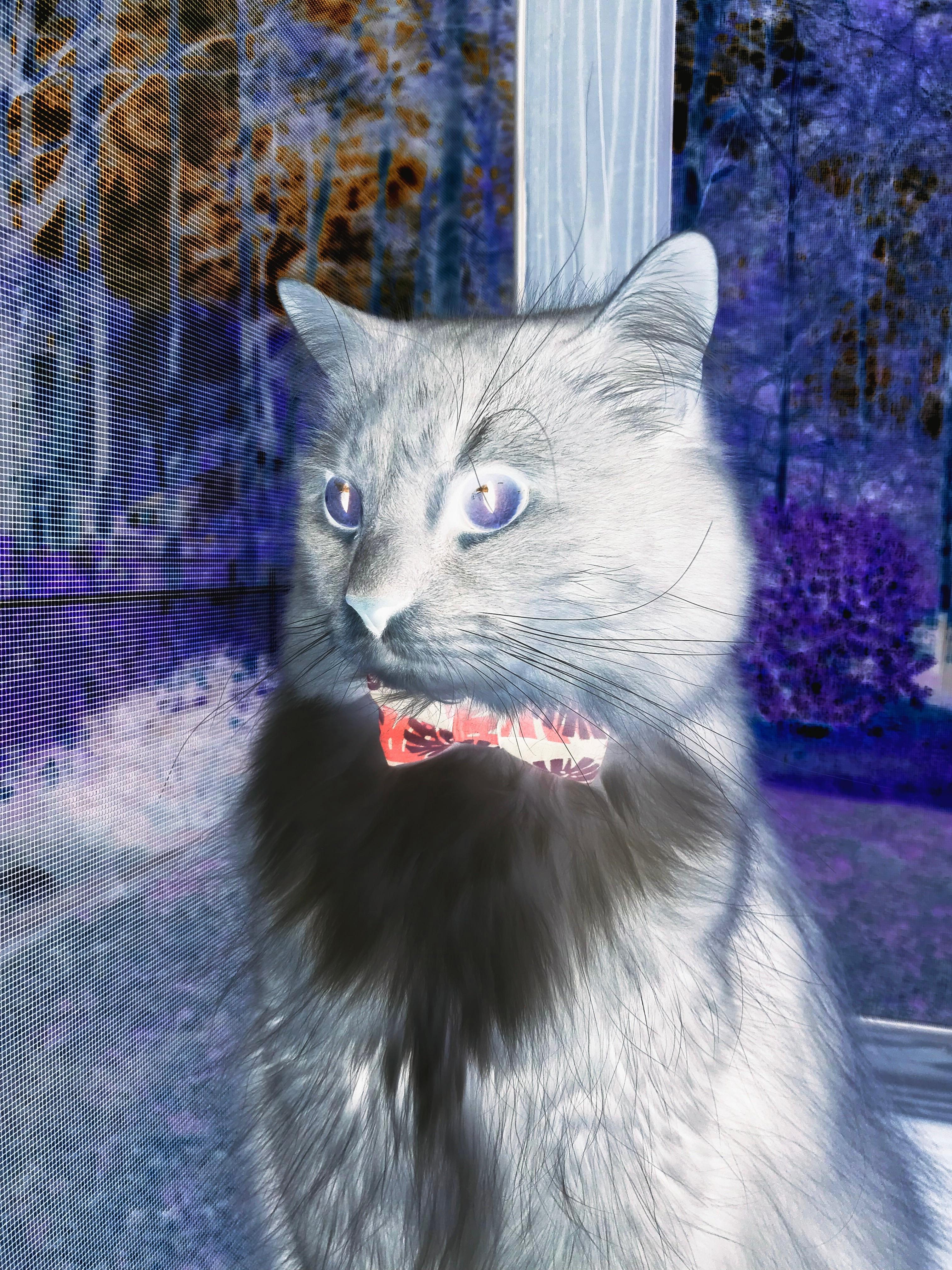 绝境黎明，当群山升起穆勒的脊梁