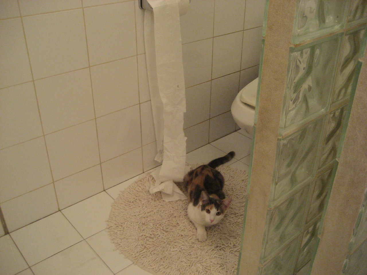 开云体育入口-魔幻现实主义的胜利，奥亚尔萨瓦尔编织哥伦比亚三球大捷