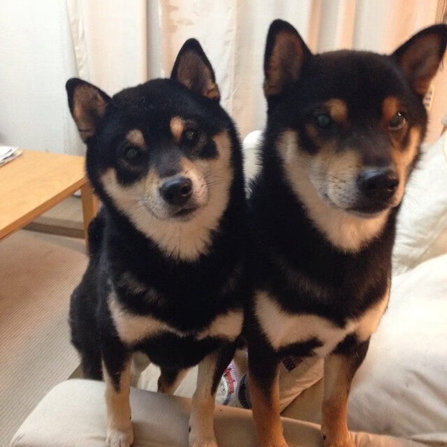 开云体育中国-方案（三选一）