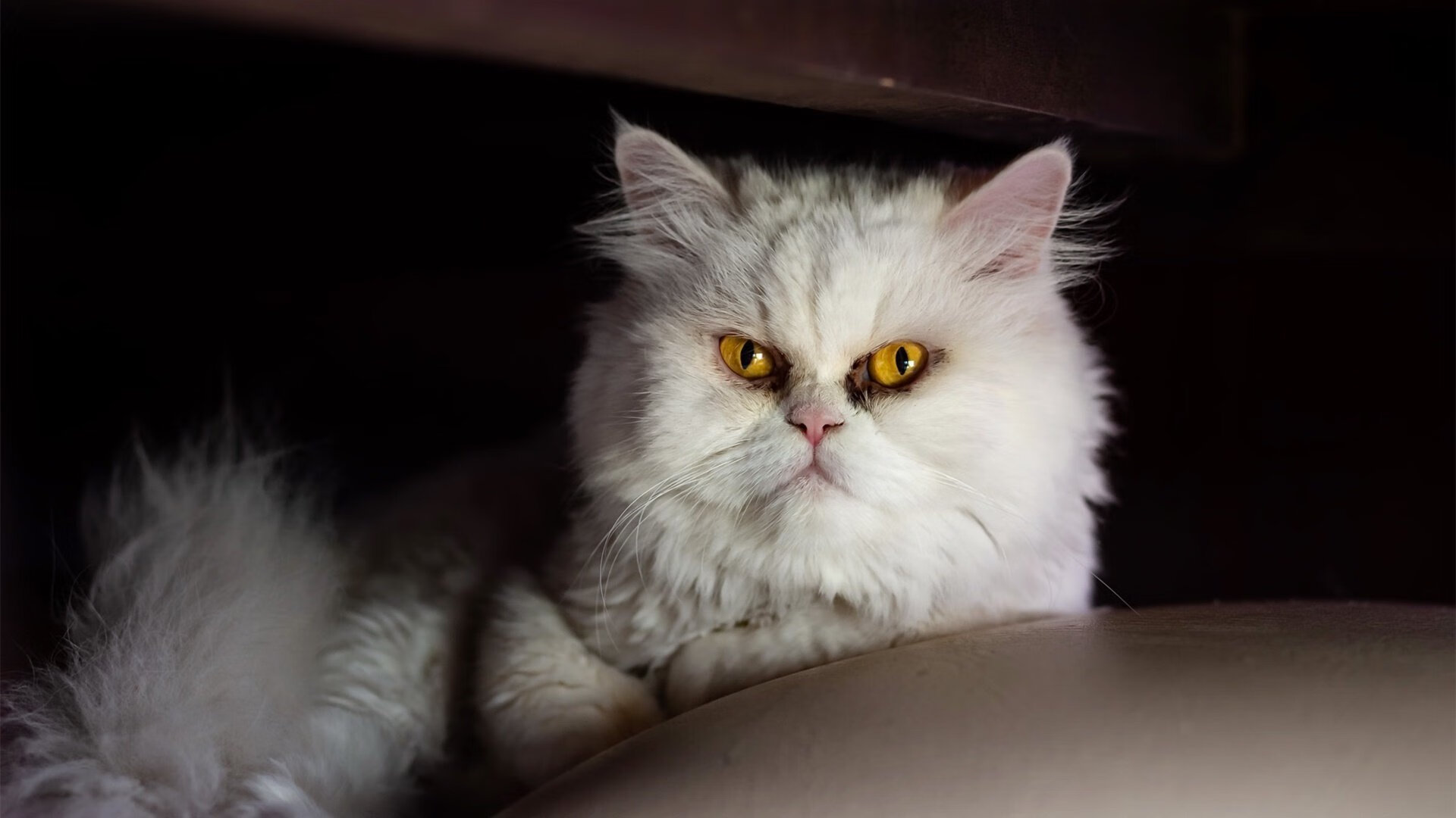 引力中心,恩比德如何肢解抢七之夜的防守